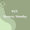 Mystery Monday- Wren Active wear