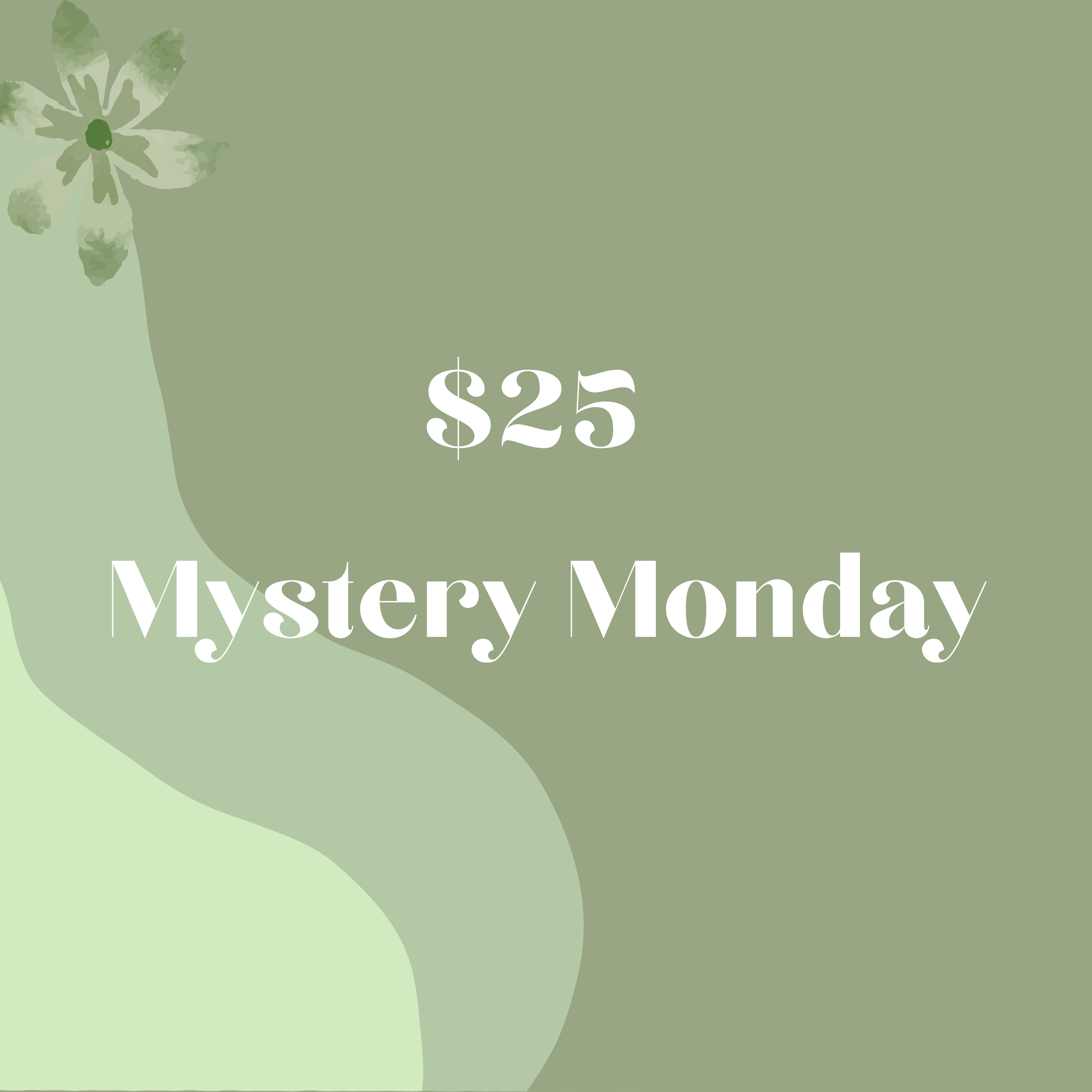 Mystery Monday- Wren Active wear